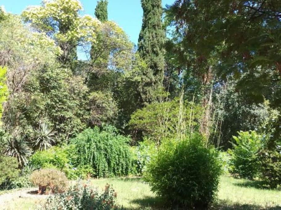 Apartmán Toulon Est La Valette Studio 35M2 Dominant Parking Proche Mer Exteriér fotografie